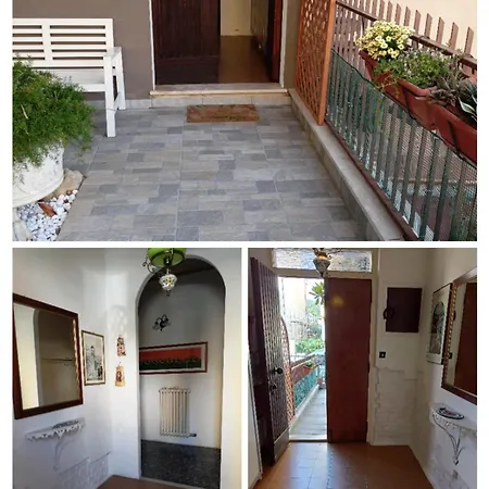 Irene * צ'יביטאנובה מארקה